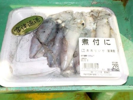 第二むつ漁丸 釣果