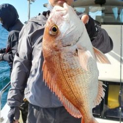 遊漁船 ニライカナイ 釣果