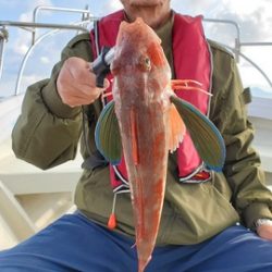 遊漁船 ニライカナイ 釣果