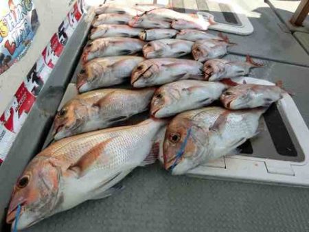 遊漁船 セトマリン 釣果