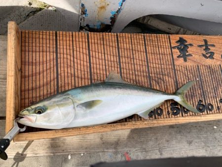幸吉丸 釣果