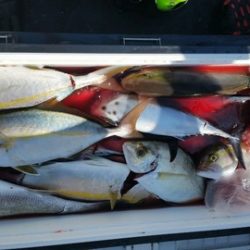 第五慶門丸 釣果