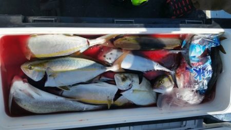 第五慶門丸 釣果