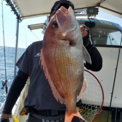 遊漁船 ニライカナイ 釣果