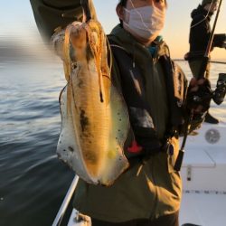 Magic（マジック） 釣果