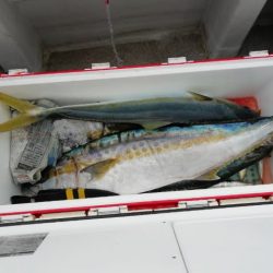 第二大福丸 釣果