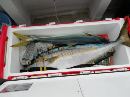 第二大福丸 釣果