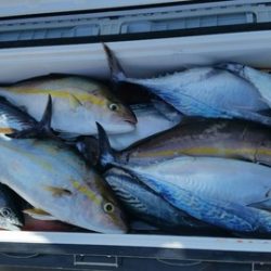 第五慶門丸 釣果