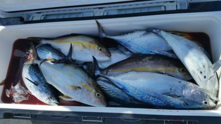 第五慶門丸 釣果