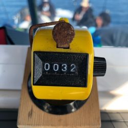 Magic(マジック) 釣果