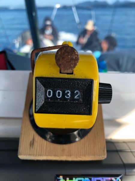 Magic(マジック) 釣果