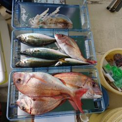たかみ丸 釣果