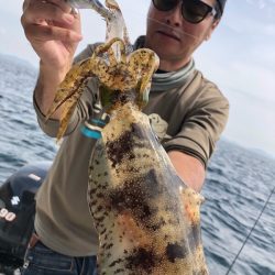 Magic(マジック) 釣果