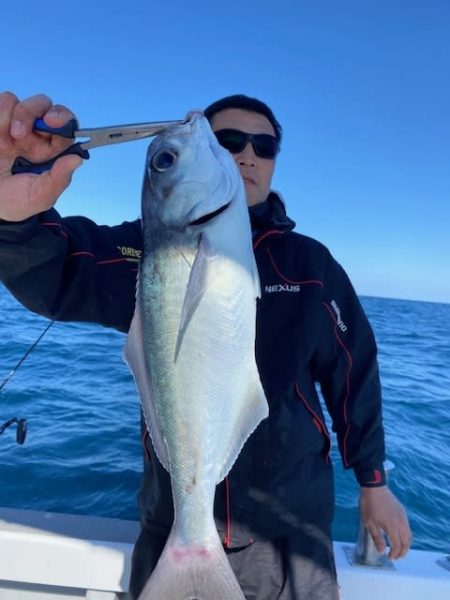 へいみつ丸 釣果