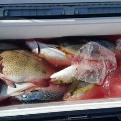 第五慶門丸 釣果