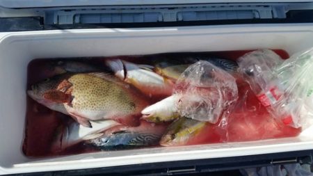 第五慶門丸 釣果