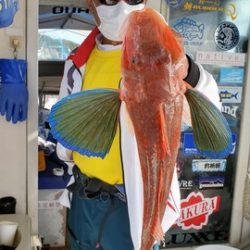 遊漁船 ニライカナイ 釣果