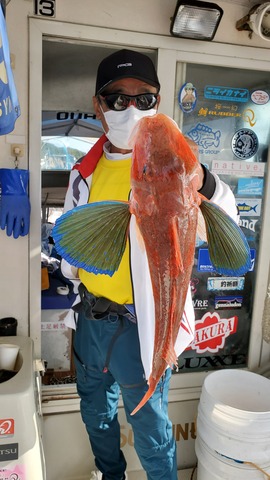 遊漁船 ニライカナイ 釣果