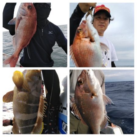 遊漁船 新鋭丸 釣果