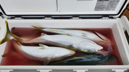 遊漁船 ニライカナイ 釣果