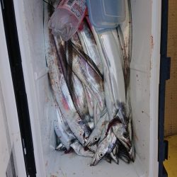 たかみ丸 釣果