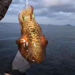 まるいち丸 ZERO-1 釣果