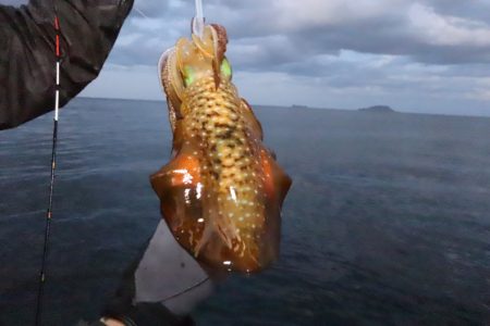 まるいち丸 ZERO-1 釣果