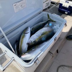 第八大安丸 釣果