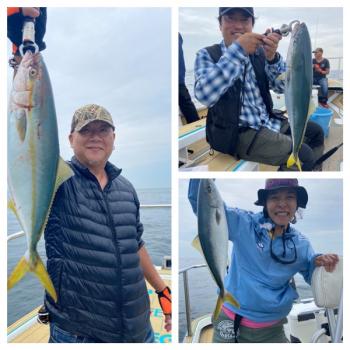 シーマジカル 釣果