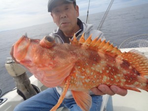 兼六丸 釣果