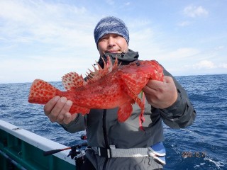 増福丸 釣果