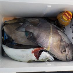 HARUKA丸 はるかまる 釣果