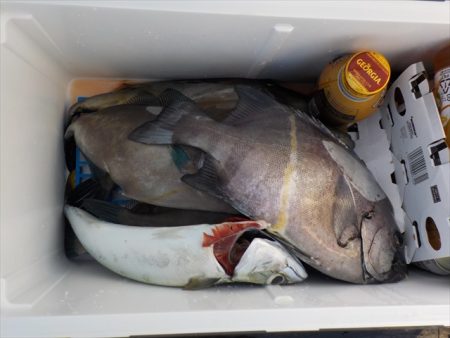 HARUKA丸 はるかまる 釣果