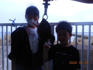 鹿島港魚釣園 釣果