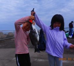鹿島港魚釣園 釣果