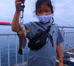 鹿島港魚釣園 釣果