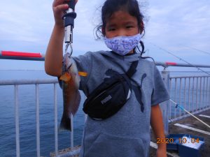 鹿島港魚釣園 釣果