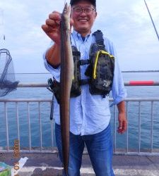 鹿島港魚釣園 釣果