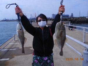 鹿島港魚釣園 釣果