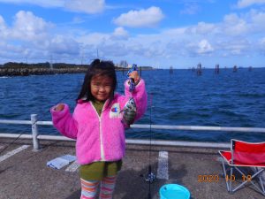 鹿島港魚釣園 釣果