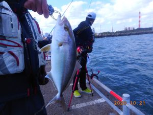 鹿島港魚釣園 釣果
