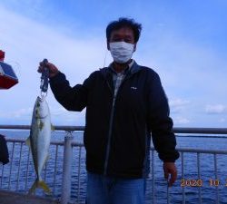 鹿島港魚釣園 釣果
