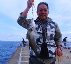鹿島港魚釣園 釣果