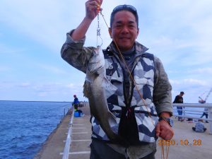 鹿島港魚釣園 釣果