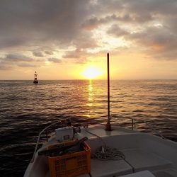 フィッシングボート空風(そらかぜ) 釣果