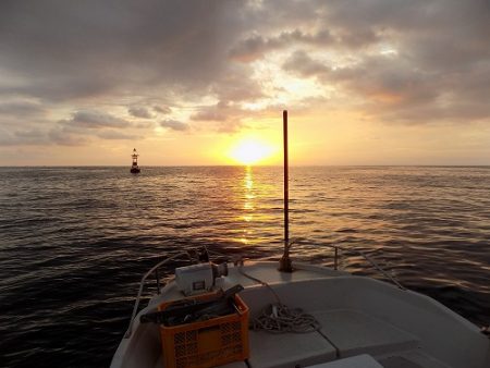 フィッシングボート空風(そらかぜ) 釣果