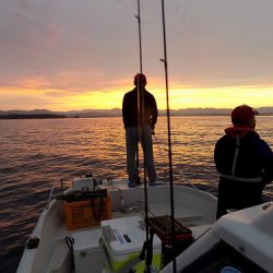 フィッシングボート空風(そらかぜ) 釣果