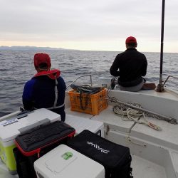 フィッシングボート空風(そらかぜ) 釣果
