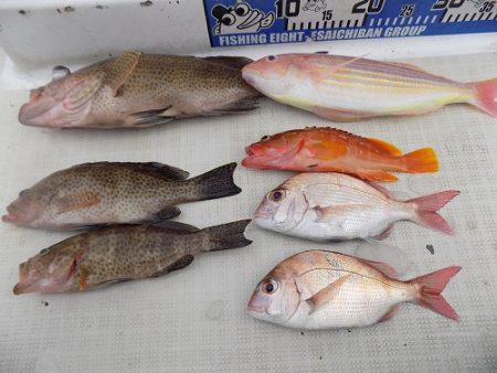 フィッシングボート空風(そらかぜ) 釣果