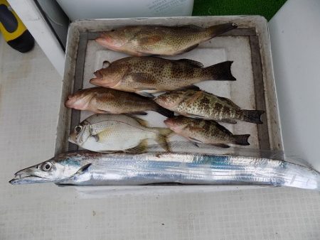 フィッシングボート空風（そらかぜ） 釣果